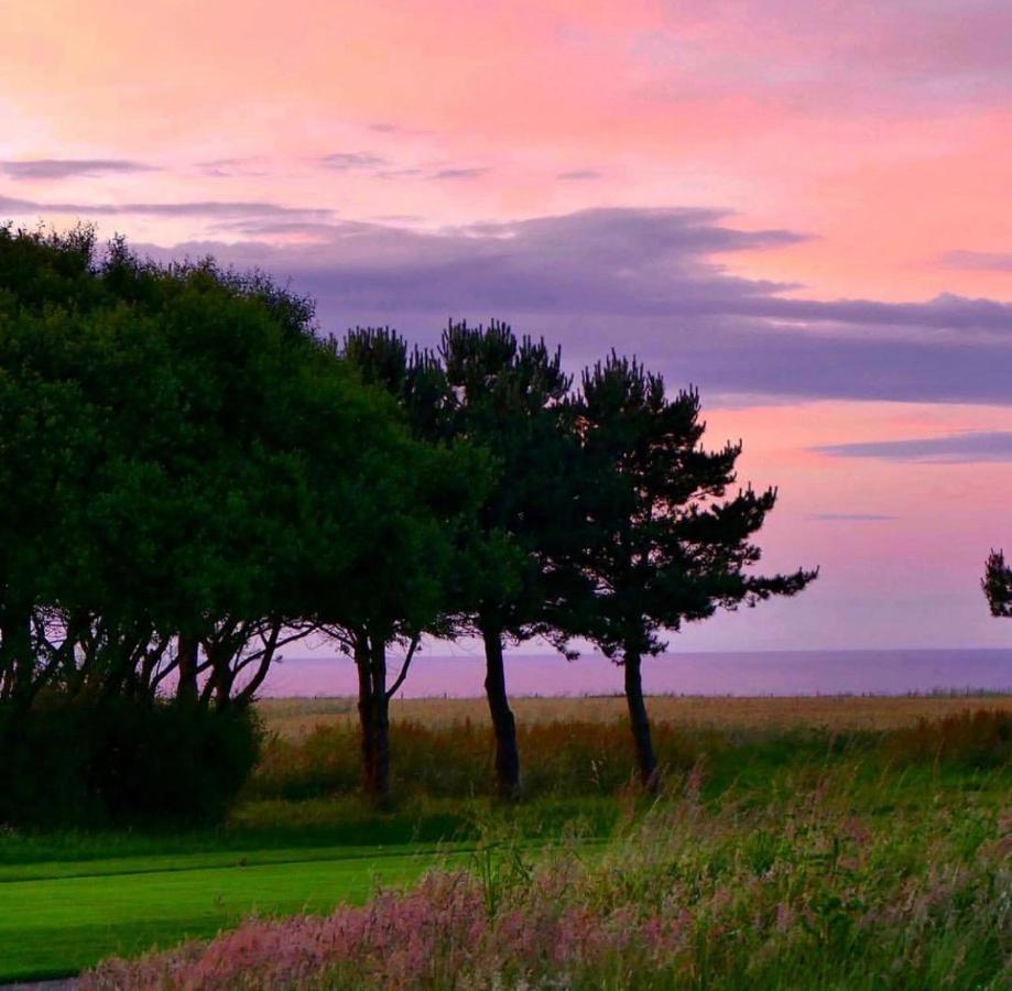 Normandy'S Green By The Sea Port-en-Bessin-Huppain Extérieur photo